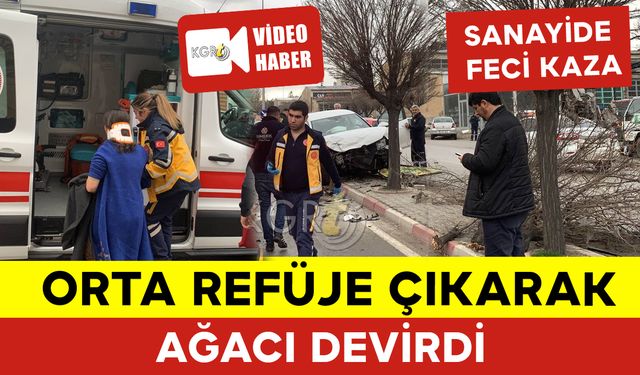 Çarpışmanın Etkisiyle Orta Refüje Çıkan Araç Ağacı Devirdi