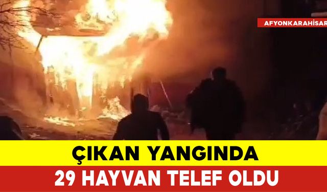 Çıkan Yangında 29 Hayvan Telef Oldu