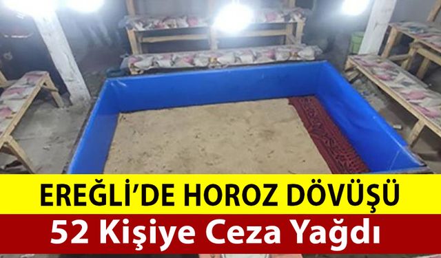 Ereğli'de Horoz Dövüşüne Ceza Yağd