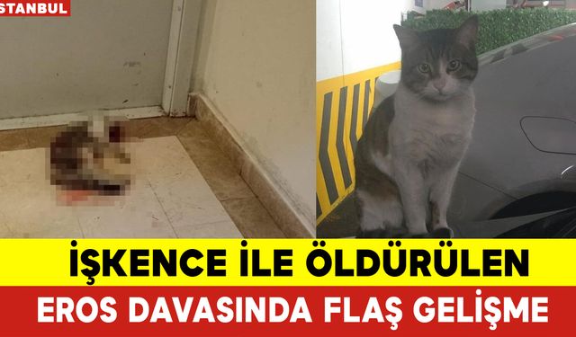 İşkence İle Öldürülen Kedi Eros Davasında Flaş Gelişme