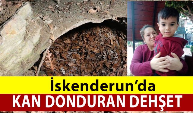 İskenderun'da Kan Donduran Cinayet