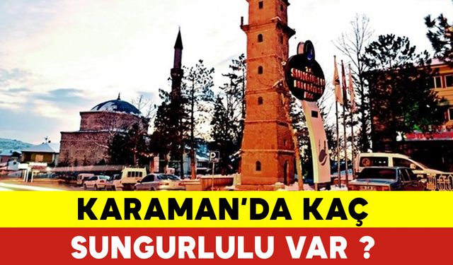 Karaman'da Kaç Sungurlulu Var ?