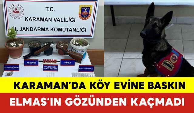 Karaman'da Köy Evine Baskın: Elmas'ın Gözünden Kaçmadı