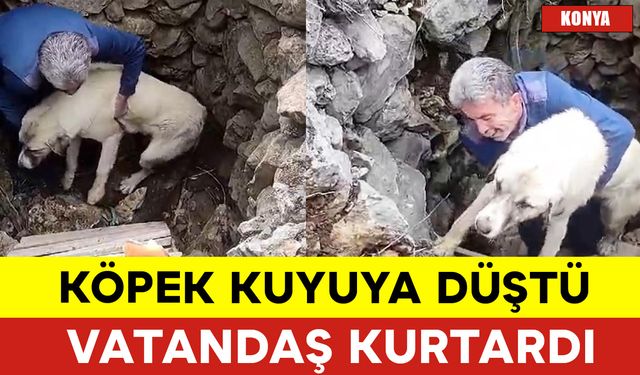 Köpek Kuyuya Düştü Vatandaş Böyle Kurtardı