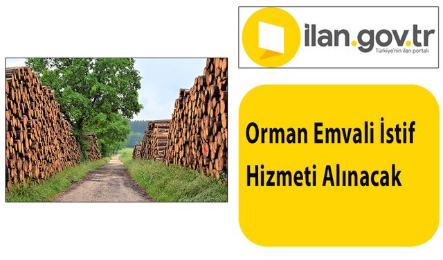 Orman Emvali İstif Hizmeti Alınacak