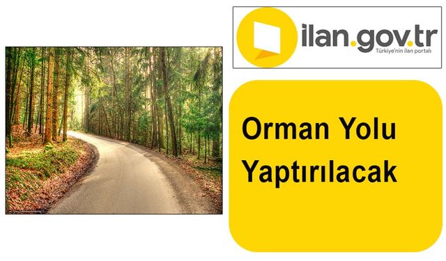 Orman Yolu Yaptırılacak