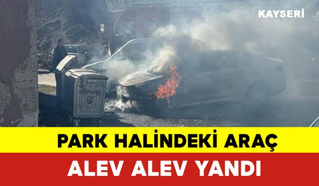 Park Halindeki Araç Alev Alev Yandı