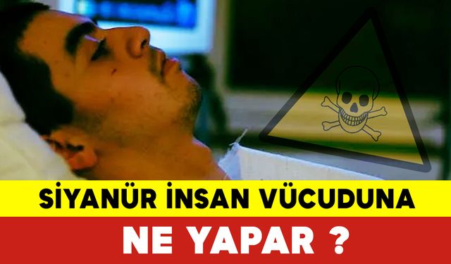 Siyanür İnsan Vücuduna Ne Yapar ? Siyanür Nedir ?