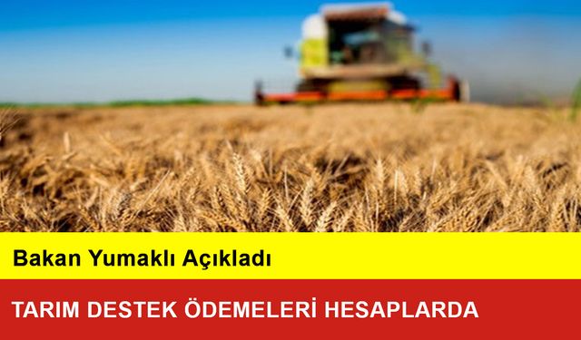 Tarım Destek Ödemeleri Hesaplarda