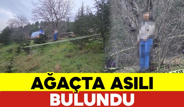 Ağaçta Asılı Bulundu Kimliği Araştırılıyor