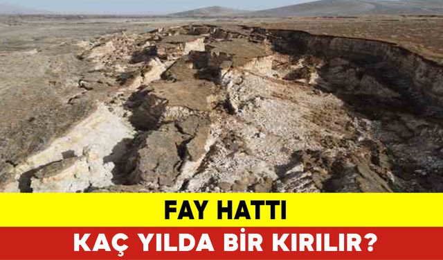 Fay Hatları Kaç Yılda Bir Kırılır?