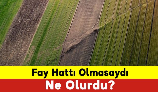 Fay Hattı Olmasaydı Ne Olurdu?