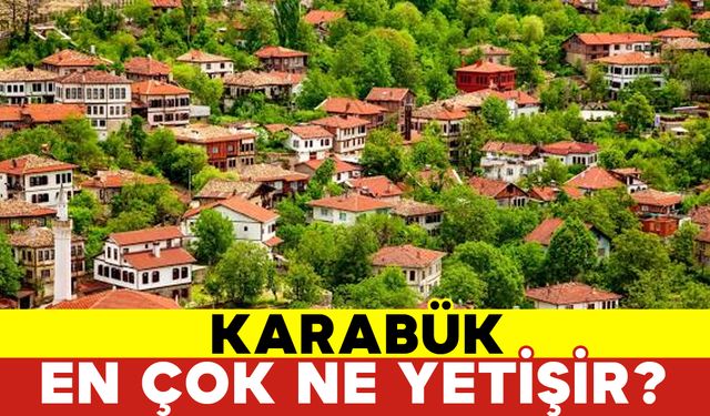 Karabük En Çok Ne Yetişir?