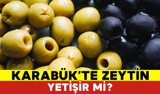 Karabük'te Zeytin Yetişir Mi?