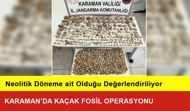 Karaman’da Kaçak Fosil Operasyonu: 1 Gözaltı