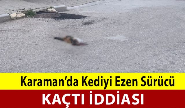 Karaman'da Kediyi Ezen Sürücü Kaçtı İddiası