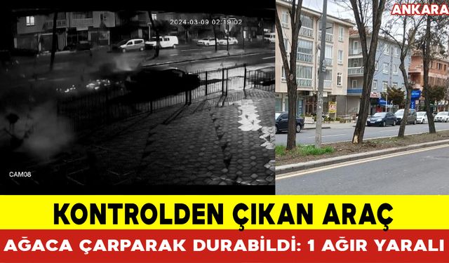 Kontrolden Çıkan Araç Ağaca Çarparak Durabildi: 1 Ağır Yaralı