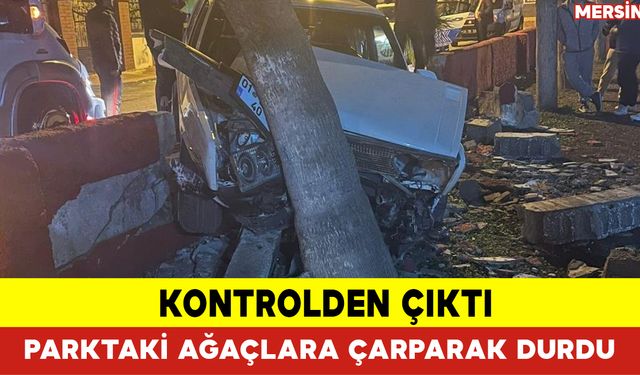 Kontrolden Çıktı Parktaki Ağaçlara Çarparak Durdu