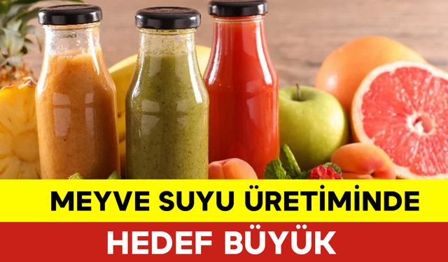 Meyve Suyu Üretiminde Hedef Büyük