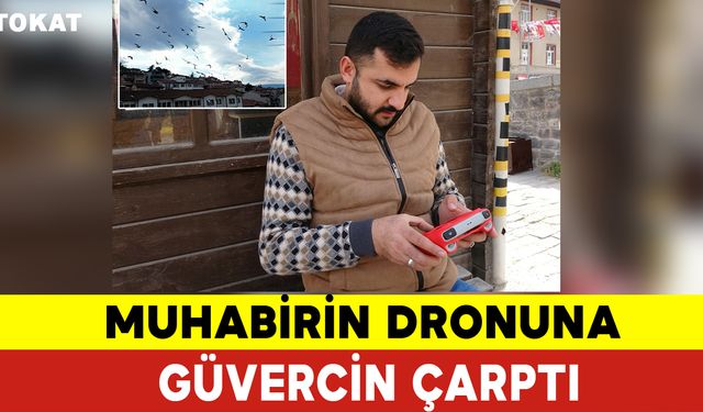 Muhabirin Dronuna Güvercin Çarptı