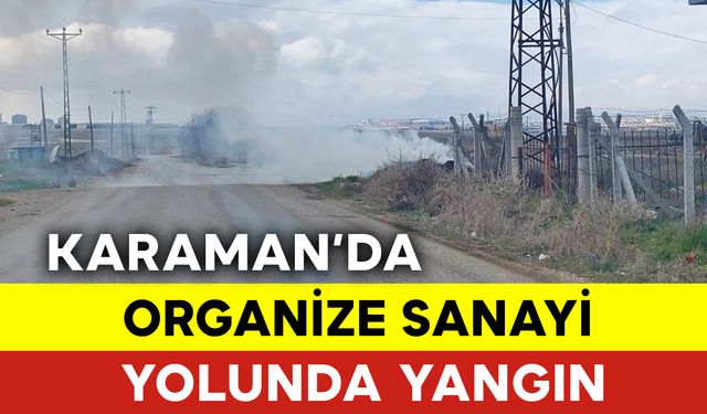 Organize Sanayi Yolunda Yangın