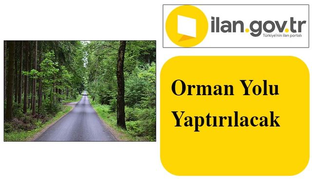 Orman Yolu Yaptırılacak