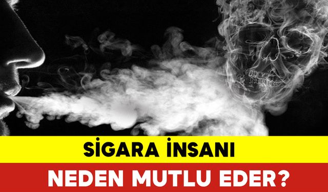 Sigara İnsanı Neden Mutlu Eder?