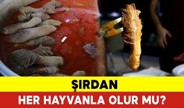 Şırdan Her Hayvanla Olur mu?