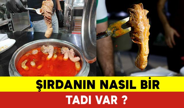 Şırdan Nasıl Bir Tadı Var? Şırdan Nedir?