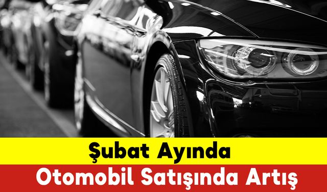 Şubat Ayında Otomobil Satışında Artış