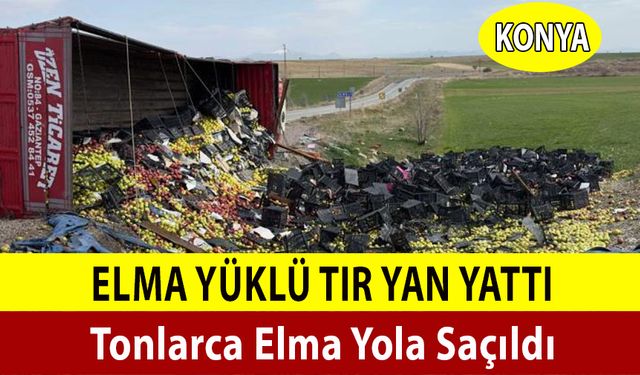 Tonlarca Elma Yola Saçıldı