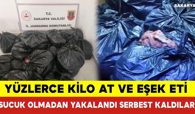 Yüzlerce Kilo At Ve Eşek Eti Sucuk Olmadan Yakalandı Serbest Kaldılar