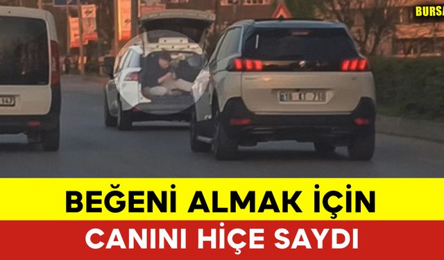 Beğeni Almak İçin Canını Hiçe Saydı