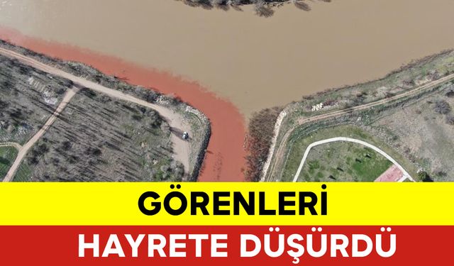 Görenleri Hayrete Düşürdü