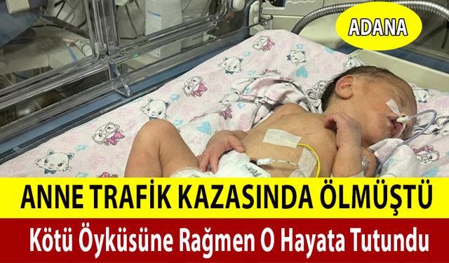 Kötü Öyküsüne Rağmen O Hayata Tutundu