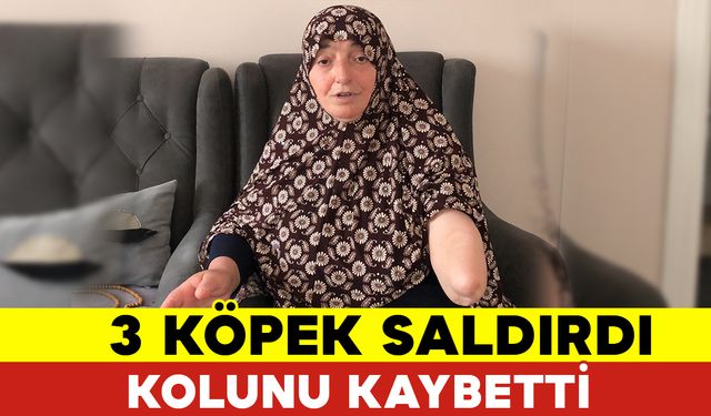 3 Köpeğin Saldırısında Kolunu Kaybetti