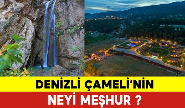 Denizli Çameli'nin Neyi Meşhur?