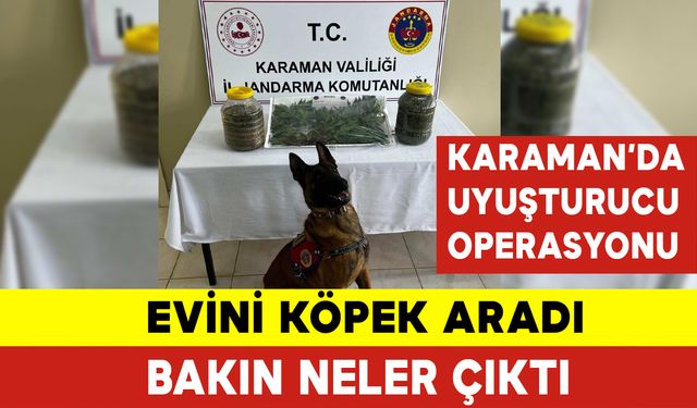 Evini Köpek Aradı Bakın Neler Çıktı