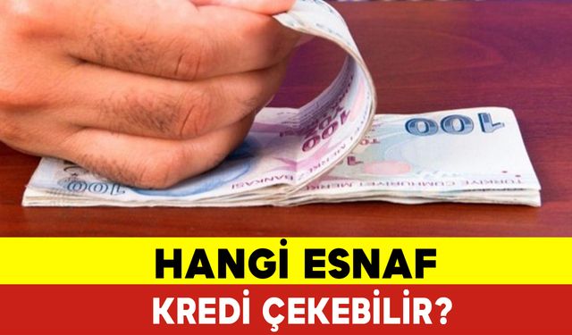 Hangi Esnaf Kredi Çekebilir?