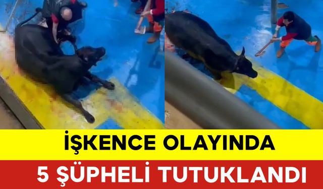 İşkence Olayında 5 Şüpheli Tutuklandı