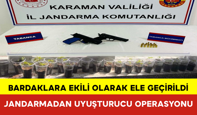 Jandarmadan Uyuşturucu Operasyonu: 2 Gözaltı