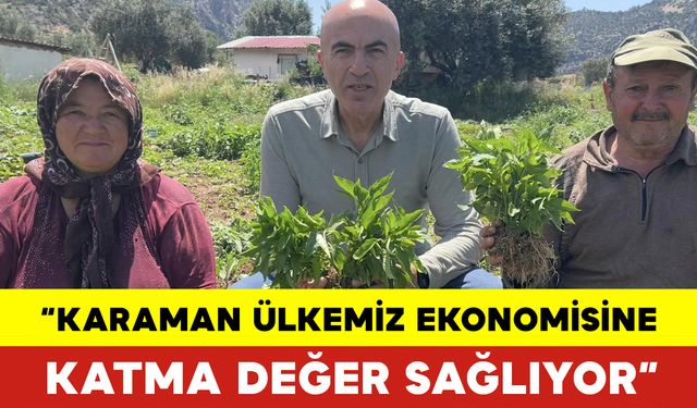 “Karaman Ülkemiz Ekonomisine Katma Değer Sağlıyor”