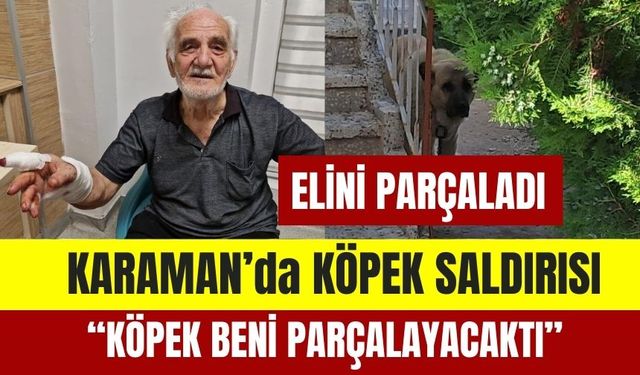 Karaman’da Köpek Dehşeti