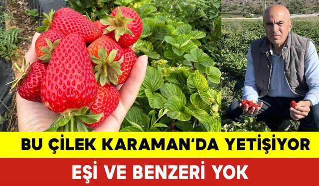 “Karaman’da Yetişen Çileğin Eşi ve Benzeri Yok”