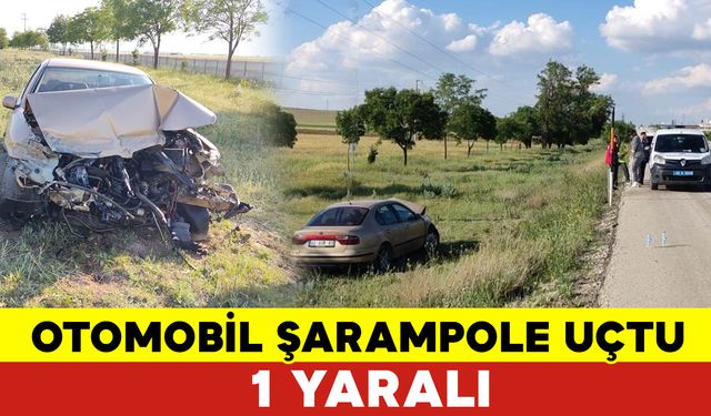 Konya'da Otomobil Şarampole Uçtu: 1 Yaralı