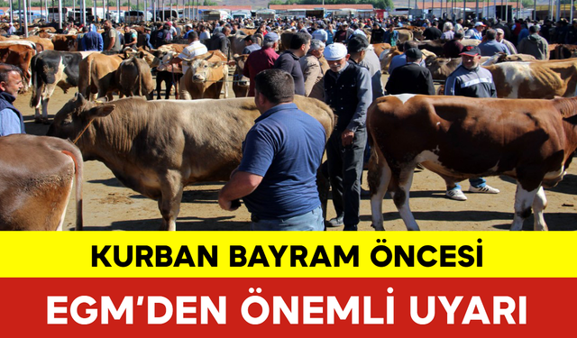 Kurban Bayram Öncesi EGM’den Önemli Uyarı