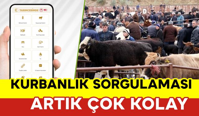 Kurbanlık Hayvan Sorgulaması Artık Çok Kolay