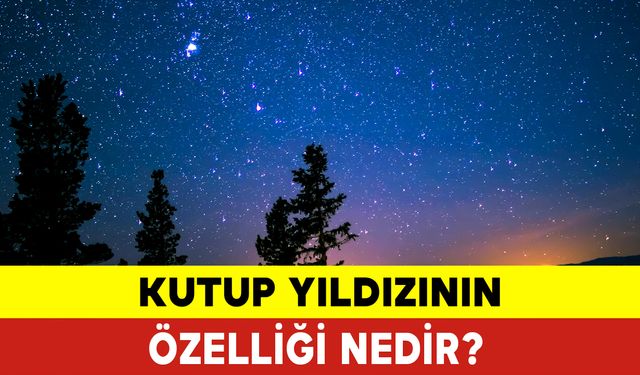 Kutup Yıldızının Özelliği Nedir? Kutup Yıldızı nedir?