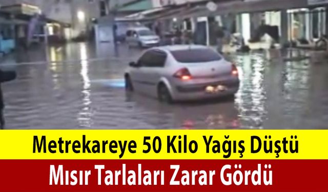 Metrekareye 50 Kilo Yağış Düştü