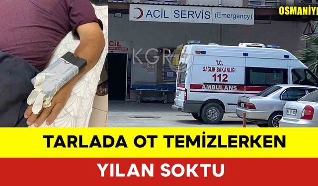 Ot Temizlerken Yılan Sokan Adam Hastanelik Oldu